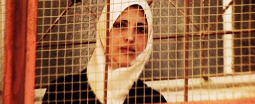 This Is My Land - Hebron