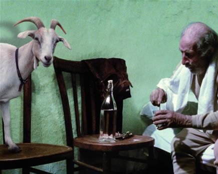 Image from LE QUATTRO VOLTE Image from LE QUATTRO VOLTE