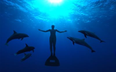 Image from THE COVE Image from THE COVE